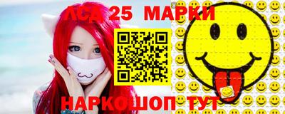 гашик Будённовск